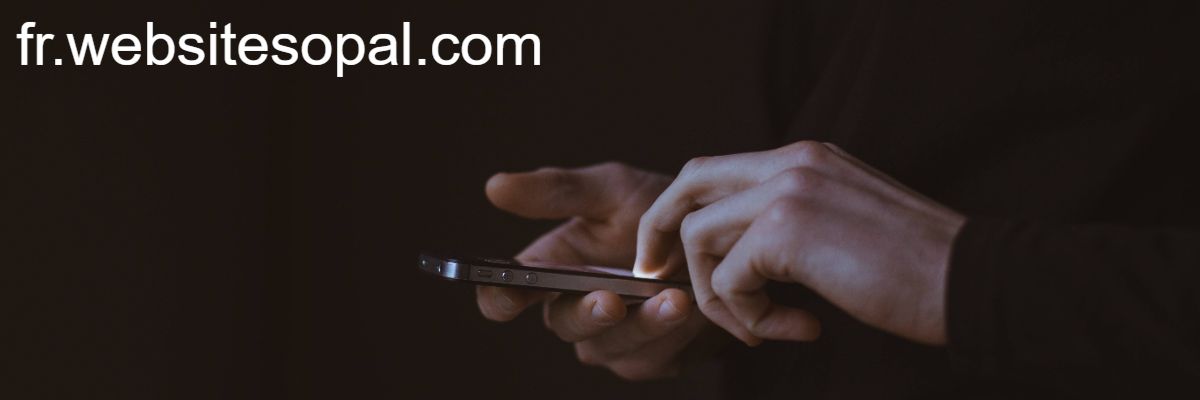 fr.websitesopal.com